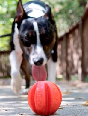 Dexas OFF LEASH Reaction Ball - Офф-лиш мяч с карабином - игрушка для собак Petmarket