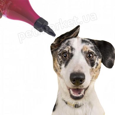 Iv San Bernard CLEAN EAR - лосьон для чистки ушей животных - 250 мл % Petmarket