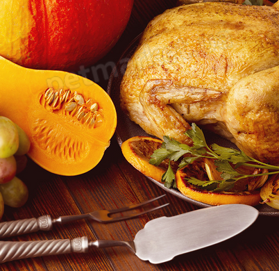 Orygo Dog Adult Turkey & Pumpkin Pate - беззерновой влажный корм для собак (индейка/тыква), паштет Petmarket