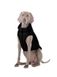 Collar AIRY VEST ONE жилет односторонній - одяг для собак - Чорний, XS22
