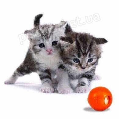Petstages Orka Infused Bell - М'ячик з дзвіночком - іграшка для котів Petmarket