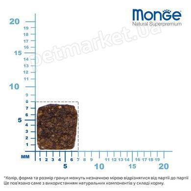 Monge MINI ADULT Salmon & Rice - корм для собак дрібних порід (лосось/рис) - 2,5 кг % Petmarket