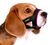 BronzeDog SPORT - намордник для собак дрібних та середніх порід - L, рожевий Petmarket