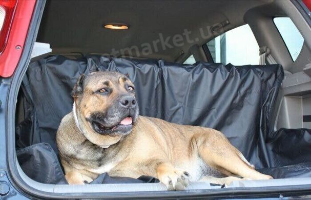 Collar АВТОГАМАК для транспортування собак в автомобілі Petmarket