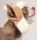 Pet Fashion BUBO теплая шапка для собак - Бежевый, M