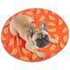GF Pet Cooling Mat for Dog - охолоджуючий килимок для собак та котів (помаранчевий) - S-M
