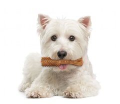 Nylabone Natural NUTRI DENT Large - Нутрі Дент - жувальні ласощі для чищення зубів у собак (філе міньйон) Petmarket