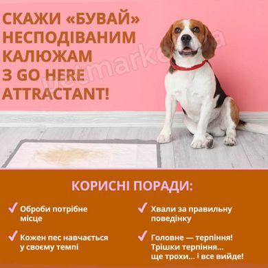 Out! Go Here - спрей для привчання собак до туалету у приміщенні/на вулиці - 945мл Petmarket