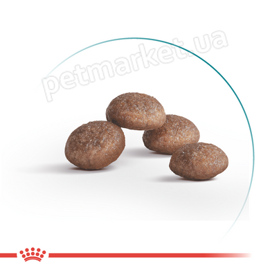 Royal Canin AGEING 112+ - корм для кішок старше 11 років Petmarket
