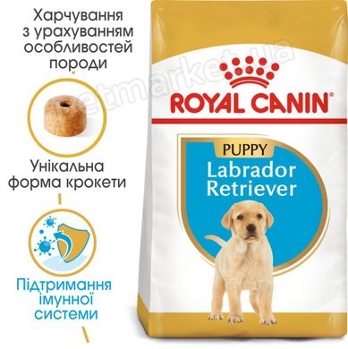Royal Canin LABRADOR RETRIEVER Puppy - корм для щенков лабрадора до 15 месяцев - 12 кг % Petmarket