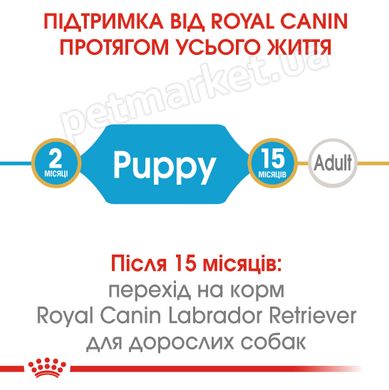 Royal Canin LABRADOR RETRIEVER Puppy - корм для щенков лабрадора до 15 месяцев - 12 кг % Petmarket