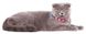 Collar FLOWER - кожаный ошейник для кошек - Ментоловый