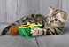 Kong Wrangler AvoCATo - игрушка с клубочком для кошек