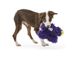 West Paw FERGUS - Фергус - плюшевая игрушка для собак - 16 см, фиолетовый