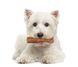 Nylabone Natural NUTRI DENT Small - Нутрі Дент - жувальні ласощі для чищення зубів у собак (філе міньйон)