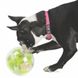 Planet Dog MAZEE - МАЗІ М'яч-Лабіринт для ласощів - інтерактивна іграшка для собак - Зелений