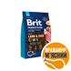 Brit Premium SENSITIVE Lamb & Rice - корм для чувствительных собак (ягненок/рис) - 3 кг.