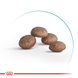 Royal Canin AGEING 11+ - корм для кошек старше 11 лет - 400 г