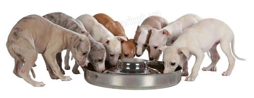 Trixie JUNIOR Puppy Bowl - стальная миска для кормления щенков - 4 л/38 см Petmarket