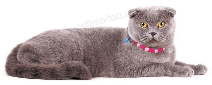 Collar FLOWER - шкіряний нашийник для кішок - Ментоловий Petmarket