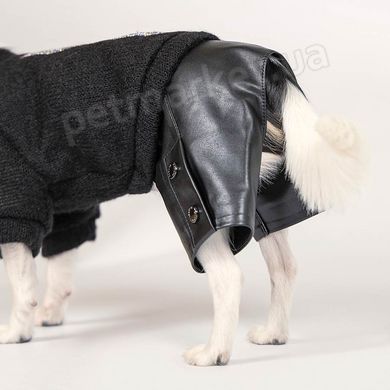 Pet Fashion VOGUE - комбінований костюмчик для собак - XS % Petmarket