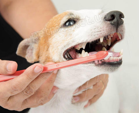 Vet Expert Caryodent Enzymatic Toothpaste - ензимна зубна паста для собак та котів Petmarket