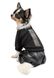 Pet Fashion VOGUE - комбінований костюмчик для собак - XS %