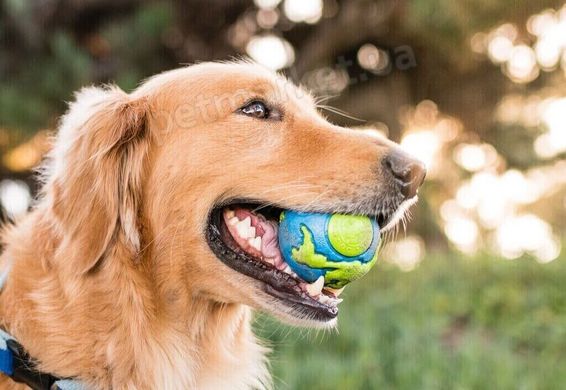 Planet Dog Orbee-Tuff Planet - ПЛАНЕТА М'яч - іграшка для собак - Large 10 см Petmarket
