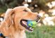Planet Dog Orbee-Tuff Planet - ПЛАНЕТА Мяч - игрушка для собак - Small 5,5 см АКЦИЯ-25%