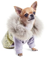 Pet Fashion ТИФФАНИ толстовка - одежда для собак - XXS % РАСПРОДАЖА Petmarket