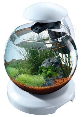 Tetra CASCADE GLOBE - круглый аквариум для рыб - Белый Petmarket