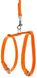 Collar WauDog GLAMOUR - кожаная шлея с поводком для собак и кошек - S Оранжевый