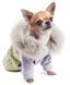 Pet Fashion ТІФФАНІ толстовка - одяг для собак - XXS % РОЗПРОДАЖ