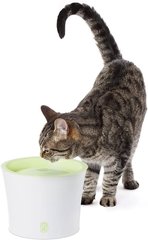 Catit DRINKING FOUNTAIN 3 L - питьевой фонтан для собак, кошек, хорьков, 3 л % Petmarket