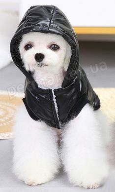 Dobaz Modern теплая куртка для собак - XXL, Серебро % Petmarket