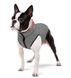 Collar AIRY VEST жилет двухсторонний - одежда для собак, коралл/серый - XS30