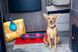 Dexas Pet Bowl Grippmat - коврик антискользящий под миски для собак и кошек - 33х48 см, Фиолетовый
