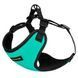 BronzeDog SPORT - шлея для собак дрібних порід - S бірюзовий Petmarket