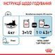 Royal Canin Light Weight вологий корм для підтримки ваги кішок (шматочки у соусі) - 85 г %