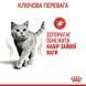 Royal Canin Light Weight вологий корм для підтримки ваги кішок (шматочки у соусі) - 85 г %