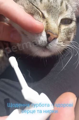 Vet Expert Caryodent Enzymatic Spray - энзимный спрей для ухода за полостью рта собак и кошек Petmarket