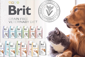 Беззернові ветеринарні дієти для котів та собак Brit Veterinary Diet