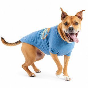 GF Pet Dog T-Shirt - Blue - футболка для собак (синя) Petmarket