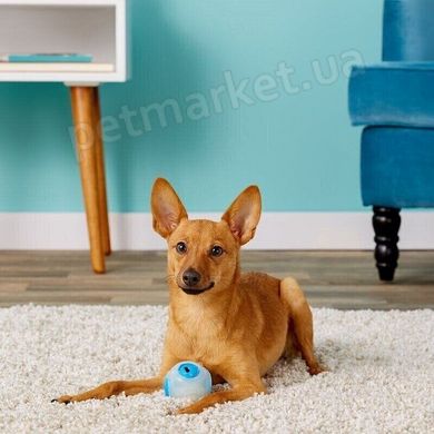 Planet Dog WHISTLE - М'ЯЧ-СВИСТОК - іграшка для собак Petmarket
