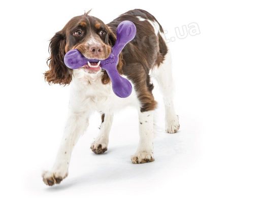 West Paw SKAMP - Скамп Три Лепестка - прочная игрушка для собак, фиолетовый Petmarket