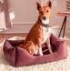 Pet Fashion DENVER - мягкий лежак для собак - Ягода, 60х50х18 см %
