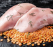 Orygo Senior Dog Chicken & Legumes Pate - беззерновой влажный корм для пожилых собак (курица/бобовые), паштет - 400 г