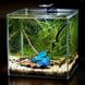 Collar DAQUARIUM - акваріум для риб і креветок
