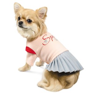 Pet Fashion СПЕЙС Костюм - одежда для собак - XS-2 Petmarket