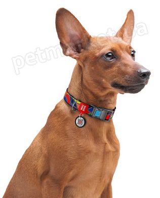 Collar WAUDOG Nylon Вітраж - нейлоновий нашийник для собак - 24-40 см Petmarket